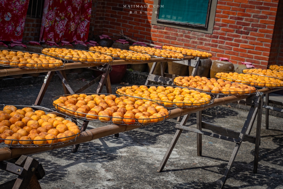 【新竹縣新埔散策】味衛佳柿餅觀光農場園區～10月限定金黃柿影滿山頭，秋日限定的甜蜜曬柿時光。