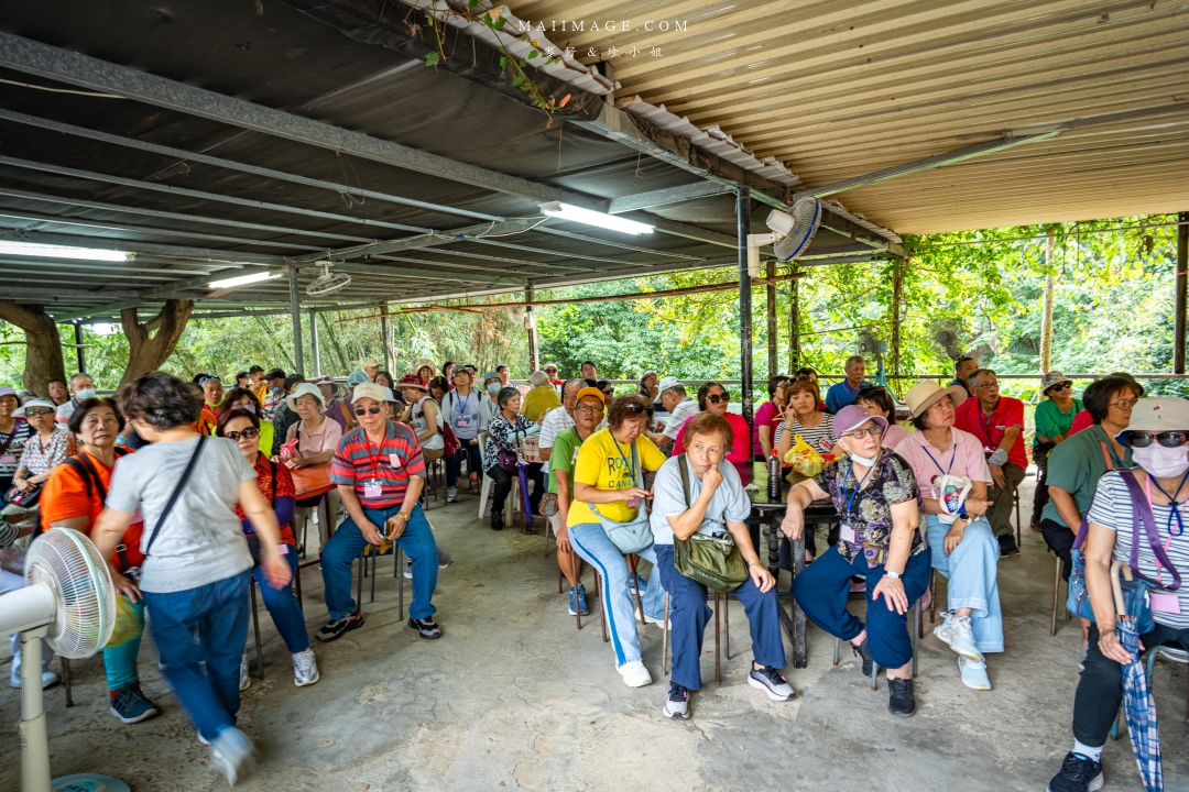 【新竹縣新埔散策】味衛佳柿餅觀光農場園區～10月限定金黃柿影滿山頭，秋日限定的甜蜜曬柿時光。