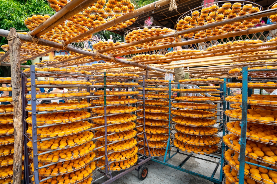 【新竹縣新埔散策】味衛佳柿餅觀光農場園區～10月限定金黃柿影滿山頭，秋日限定的甜蜜曬柿時光。