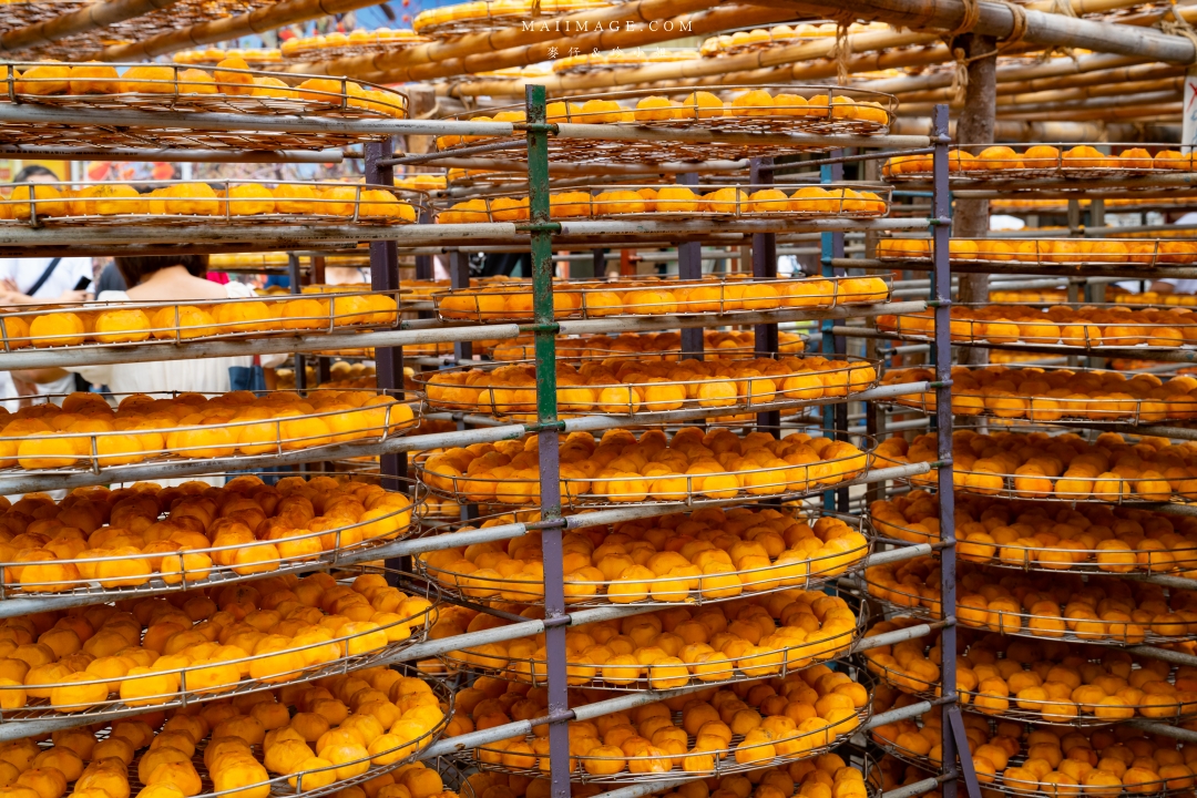 【新竹縣新埔散策】味衛佳柿餅觀光農場園區～10月限定金黃柿影滿山頭，秋日限定的甜蜜曬柿時光。