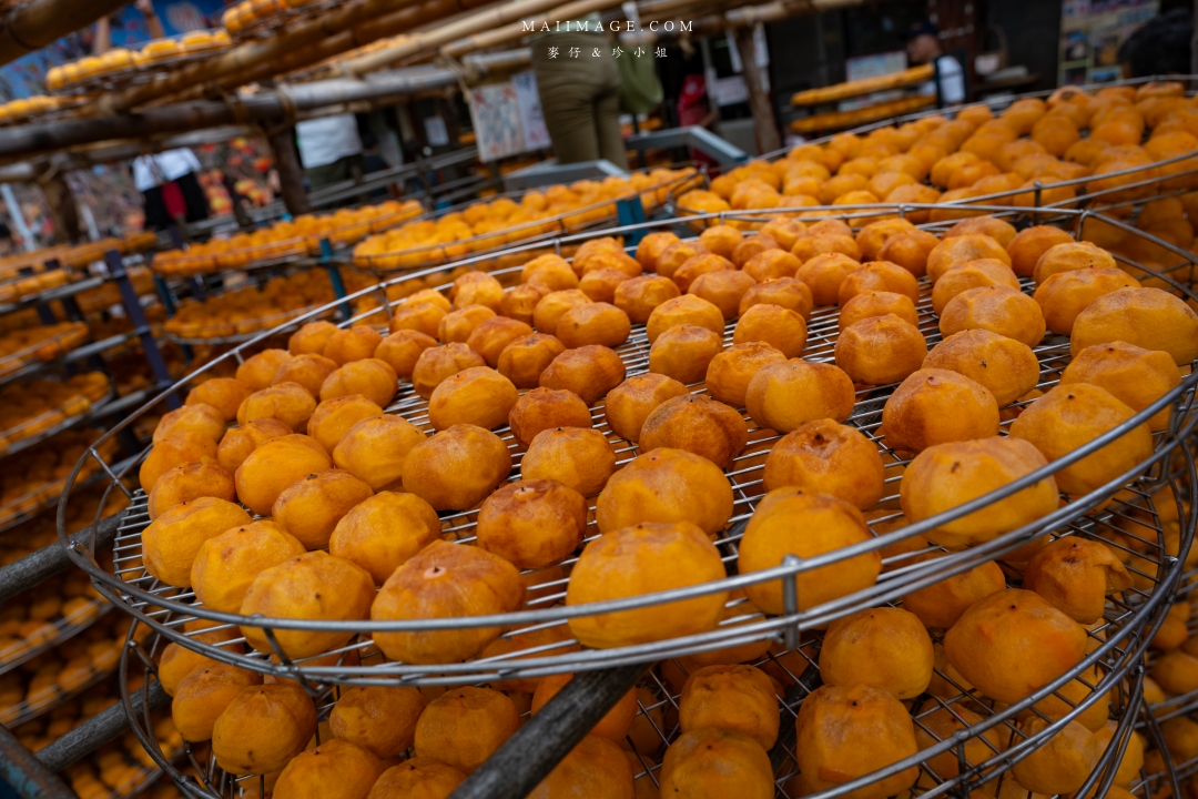 【新竹縣新埔散策】味衛佳柿餅觀光農場園區～10月限定金黃柿影滿山頭，秋日限定的甜蜜曬柿時光。