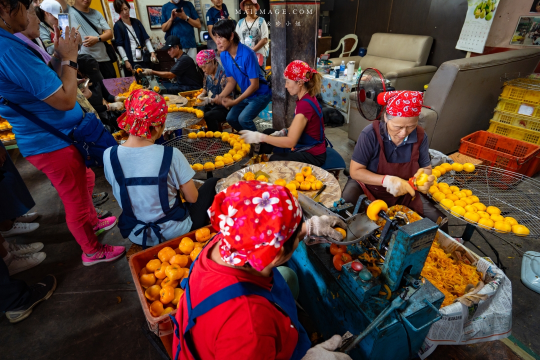 【新竹縣新埔散策】味衛佳柿餅觀光農場園區～10月限定金黃柿影滿山頭，秋日限定的甜蜜曬柿時光。