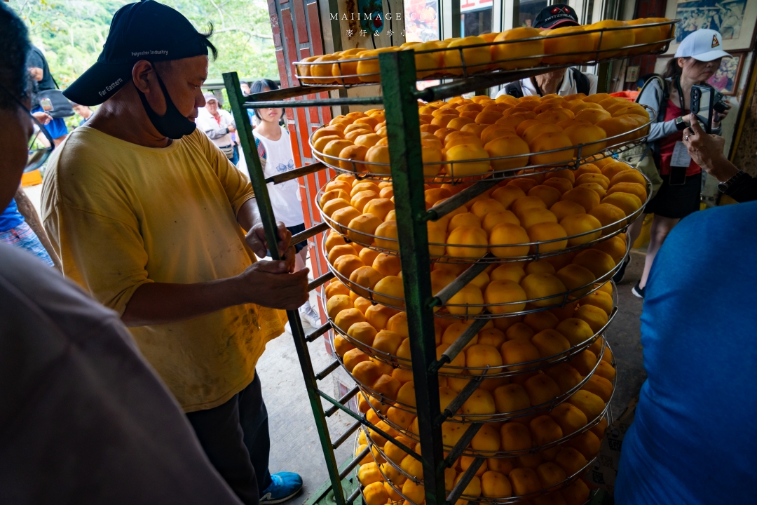 【新竹縣新埔散策】味衛佳柿餅觀光農場園區～10月限定金黃柿影滿山頭，秋日限定的甜蜜曬柿時光。