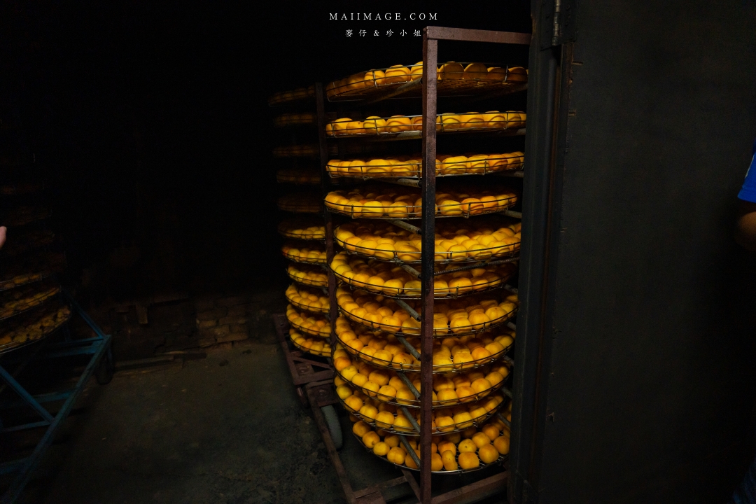 【新竹縣新埔散策】味衛佳柿餅觀光農場園區～10月限定金黃柿影滿山頭，秋日限定的甜蜜曬柿時光。