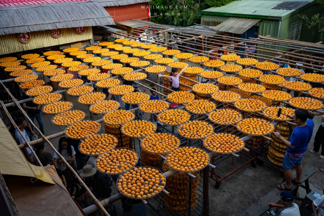 【新竹縣新埔散策】味衛佳柿餅觀光農場園區～10月限定金黃柿影滿山頭，秋日限定的甜蜜曬柿時光。