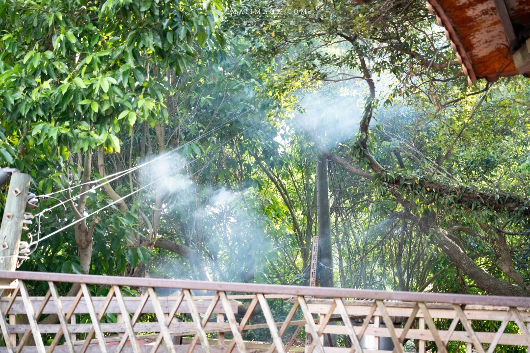 【新竹縣新埔散策】味衛佳柿餅觀光農場園區～10月限定金黃柿影滿山頭，秋日限定的甜蜜曬柿時光。