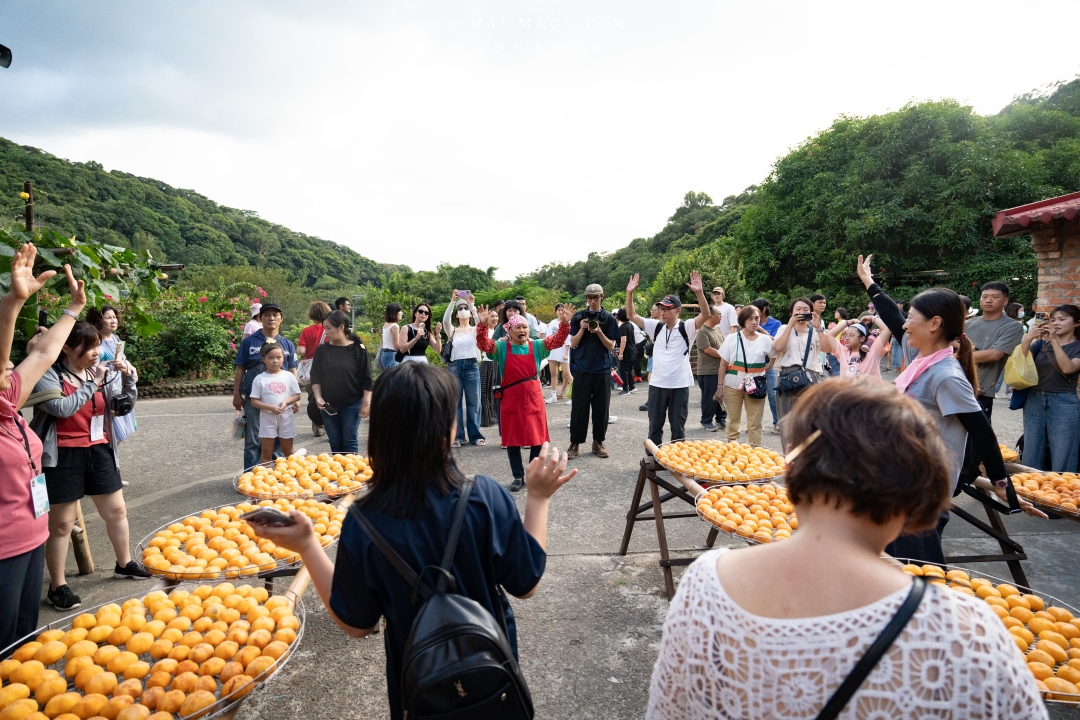【新竹縣新埔散策】味衛佳柿餅觀光農場園區～10月限定金黃柿影滿山頭，秋日限定的甜蜜曬柿時光。