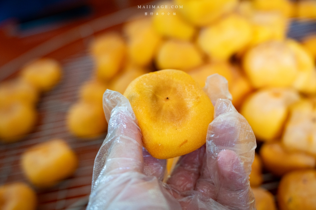 【新竹縣新埔散策】味衛佳柿餅觀光農場園區～10月限定金黃柿影滿山頭，秋日限定的甜蜜曬柿時光。