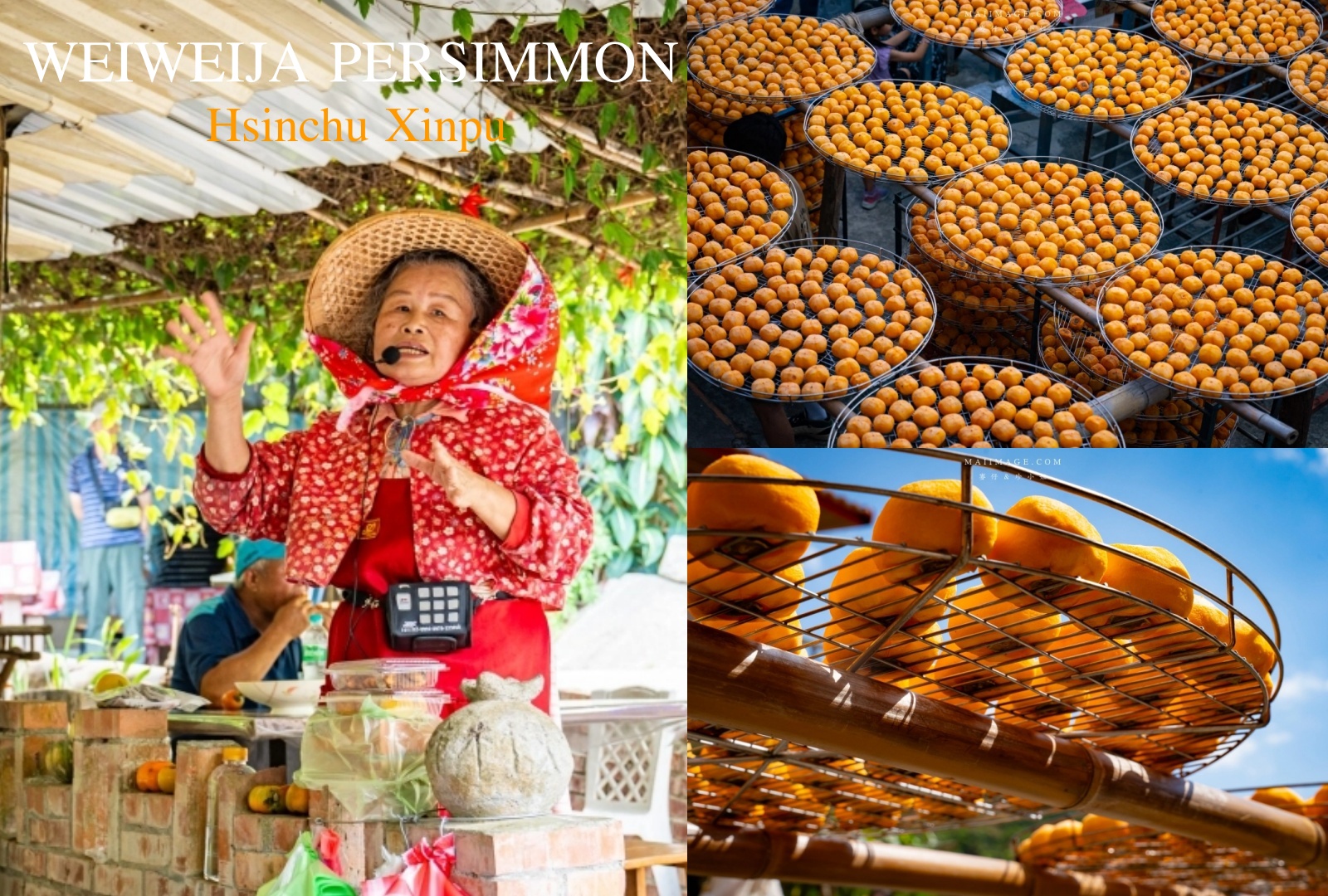 網站近期文章：【新竹縣新埔散策】味衛佳柿餅觀光農場園區～10月限定金黃柿影滿山頭，秋日限定的甜蜜曬柿時光。