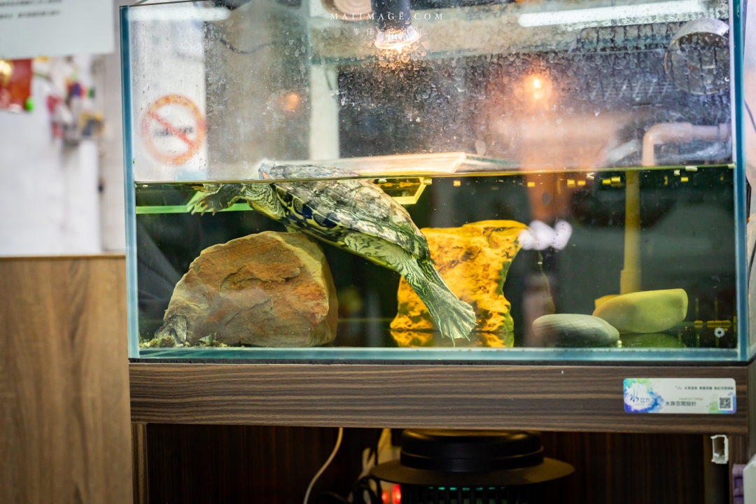 【台北行車記錄器安裝】太子牙國際有限公司～Pernis T221星光夜視行車記錄器，安裝施工仔細服務又耐心，台北南港區行車記錄器安裝推薦。