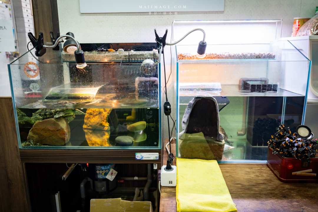 【台北行車記錄器安裝】太子牙國際有限公司～Pernis T221星光夜視行車記錄器，安裝施工仔細服務又耐心，台北南港區行車記錄器安裝推薦。