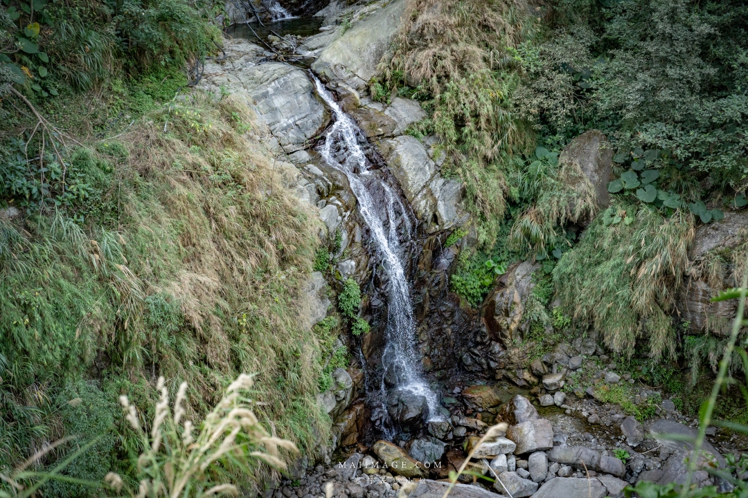 【嘉義散策】嘉義阿里山兩天一夜行程懶人包~ 台版合掌村『得恩亞納社區』、佳鶯風味餐館、井頂咖啡莊園茗茶、觀音瀑布、公興森態園區、奮起湖 【嘉義散策】嘉義阿里山兩天一夜行程懶人包~ 台版合掌村『得恩亞納社區』、佳鶯風味餐館、井頂咖啡莊園茗茶、觀音瀑布、公興森態園區、奮起湖