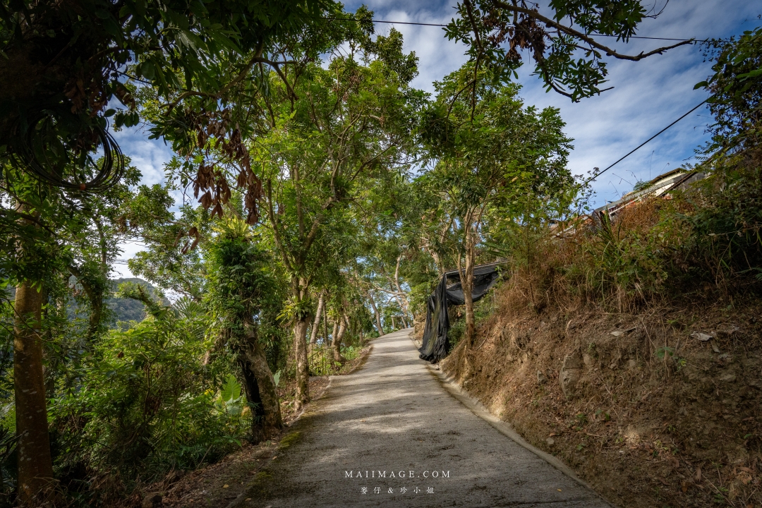 【嘉義散策】嘉義阿里山兩天一夜行程懶人包~ 台版合掌村『得恩亞納社區』、佳鶯風味餐館、井頂咖啡莊園茗茶、觀音瀑布、公興森態園區、奮起湖 【嘉義散策】嘉義阿里山兩天一夜行程懶人包~ 台版合掌村『得恩亞納社區』、佳鶯風味餐館、井頂咖啡莊園茗茶、觀音瀑布、公興森態園區、奮起湖