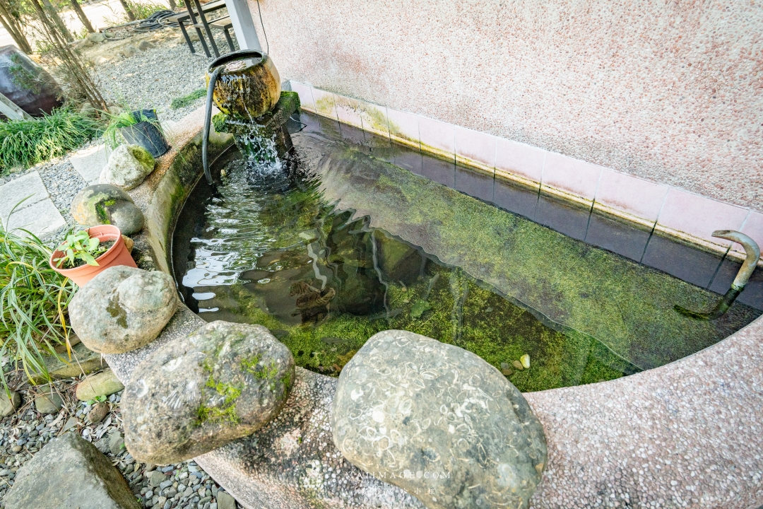 【嘉義美食】佳鶯風味餐～嘉義中埔阿母ㄟ手路菜，嘉義古早味餐廳推薦，網路高評價的古早味料理！必點苦茶油G、三杯芋仔蕃薯、古早味肉捲