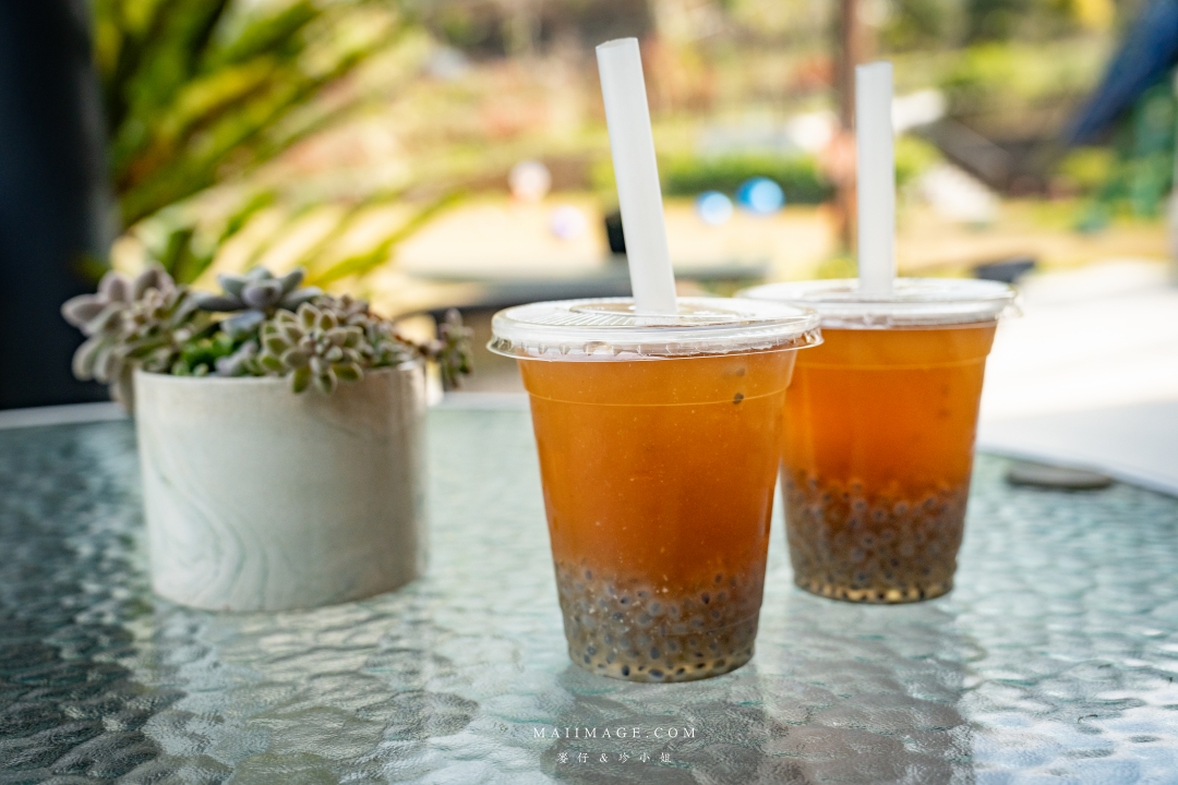 【嘉義散策】嘉義阿里山兩天一夜行程懶人包~ 台版合掌村『得恩亞納社區』、佳鶯風味餐館、井頂咖啡莊園茗茶、觀音瀑布、公興森態園區、奮起湖 【嘉義散策】嘉義阿里山兩天一夜行程懶人包~ 台版合掌村『得恩亞納社區』、佳鶯風味餐館、井頂咖啡莊園茗茶、觀音瀑布、公興森態園區、奮起湖