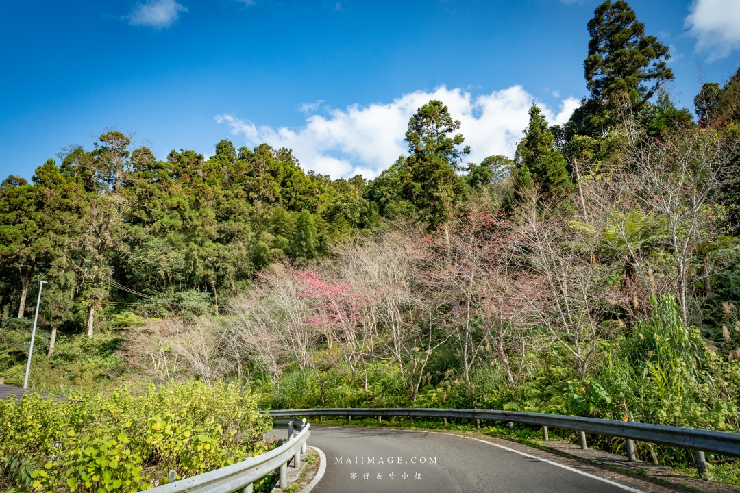 【嘉義散策】嘉義阿里山兩天一夜行程懶人包~ 台版合掌村『得恩亞納社區』、佳鶯風味餐館、井頂咖啡莊園茗茶、觀音瀑布、公興森態園區、奮起湖 【嘉義散策】嘉義阿里山兩天一夜行程懶人包~ 台版合掌村『得恩亞納社區』、佳鶯風味餐館、井頂咖啡莊園茗茶、觀音瀑布、公興森態園區、奮起湖
