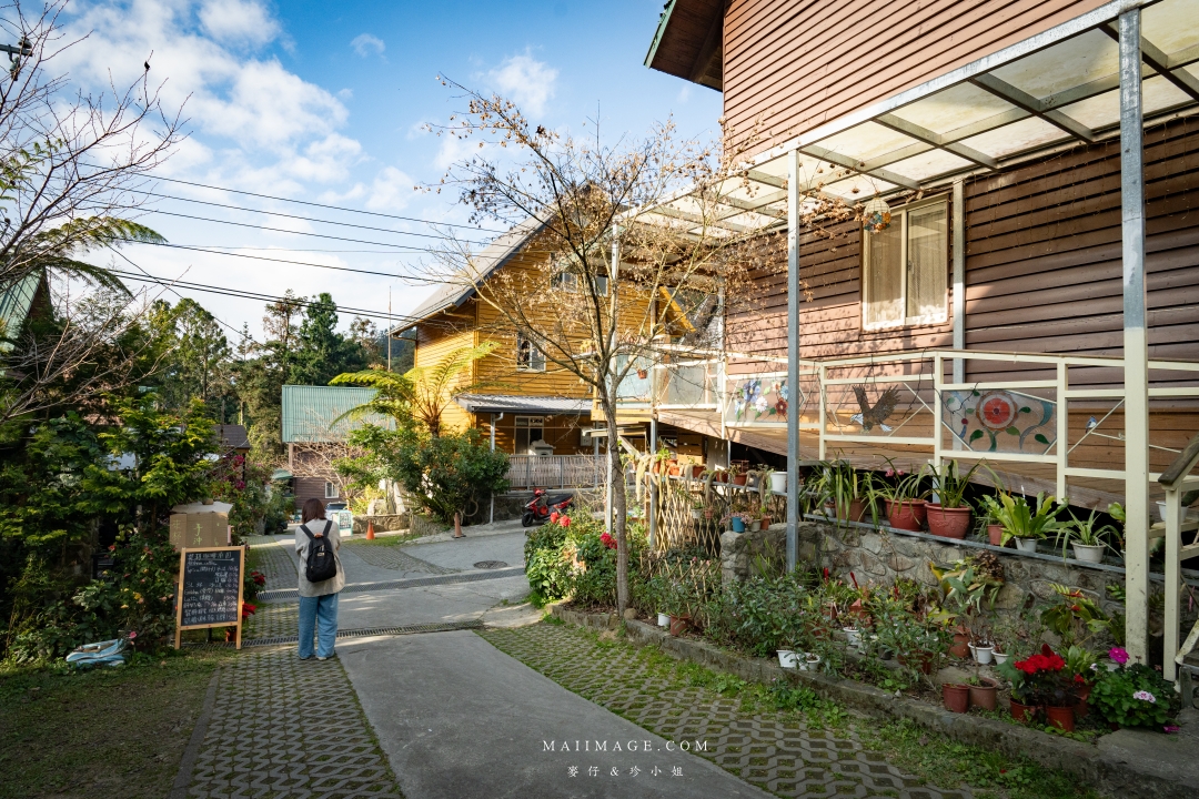 【嘉義散策】嘉義阿里山兩天一夜行程懶人包～ 台版合掌村『得恩亞納社區』、佳鶯風味餐館、井頂咖啡莊園茗茶、觀音瀑布、公興森態園區、奮起湖