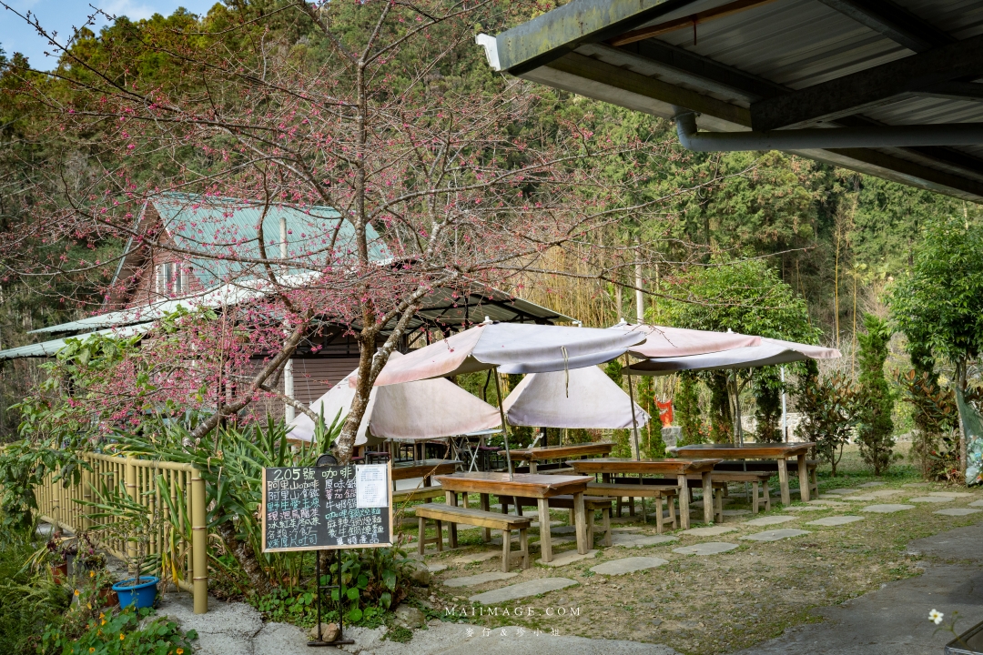 【嘉義散策】嘉義阿里山兩天一夜行程懶人包~ 台版合掌村『得恩亞納社區』、佳鶯風味餐館、井頂咖啡莊園茗茶、觀音瀑布、公興森態園區、奮起湖 【嘉義散策】嘉義阿里山兩天一夜行程懶人包~ 台版合掌村『得恩亞納社區』、佳鶯風味餐館、井頂咖啡莊園茗茶、觀音瀑布、公興森態園區、奮起湖