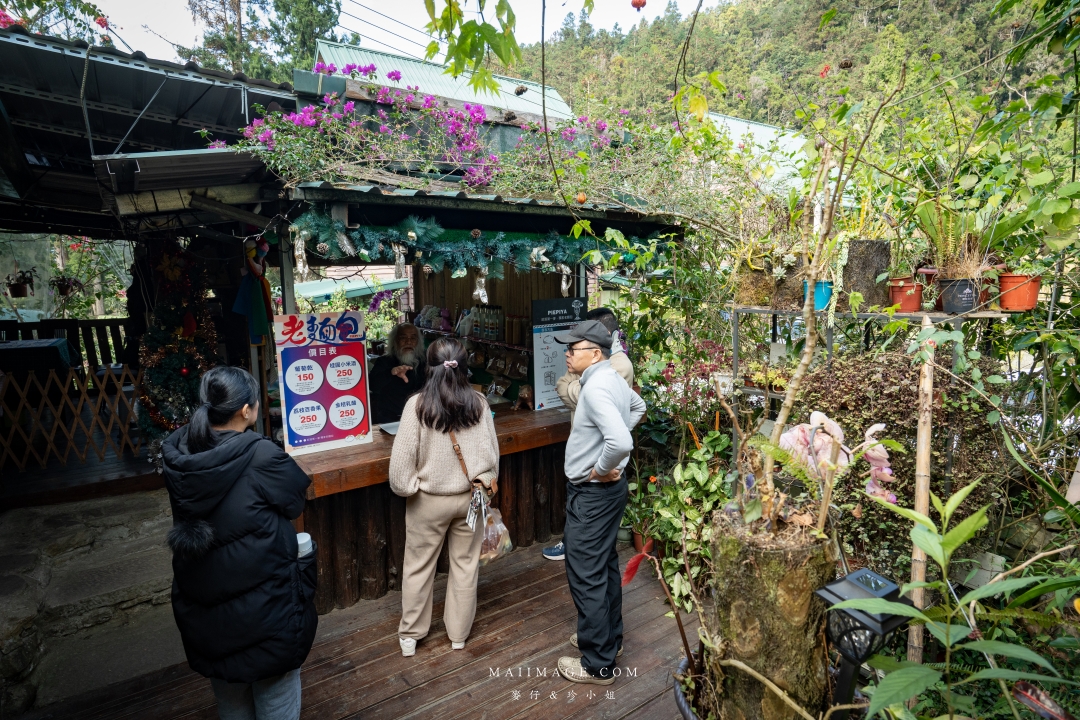 【嘉義散策】嘉義阿里山兩天一夜行程懶人包~ 台版合掌村『得恩亞納社區』、佳鶯風味餐館、井頂咖啡莊園茗茶、觀音瀑布、公興森態園區、奮起湖 【嘉義散策】嘉義阿里山兩天一夜行程懶人包~ 台版合掌村『得恩亞納社區』、佳鶯風味餐館、井頂咖啡莊園茗茶、觀音瀑布、公興森態園區、奮起湖