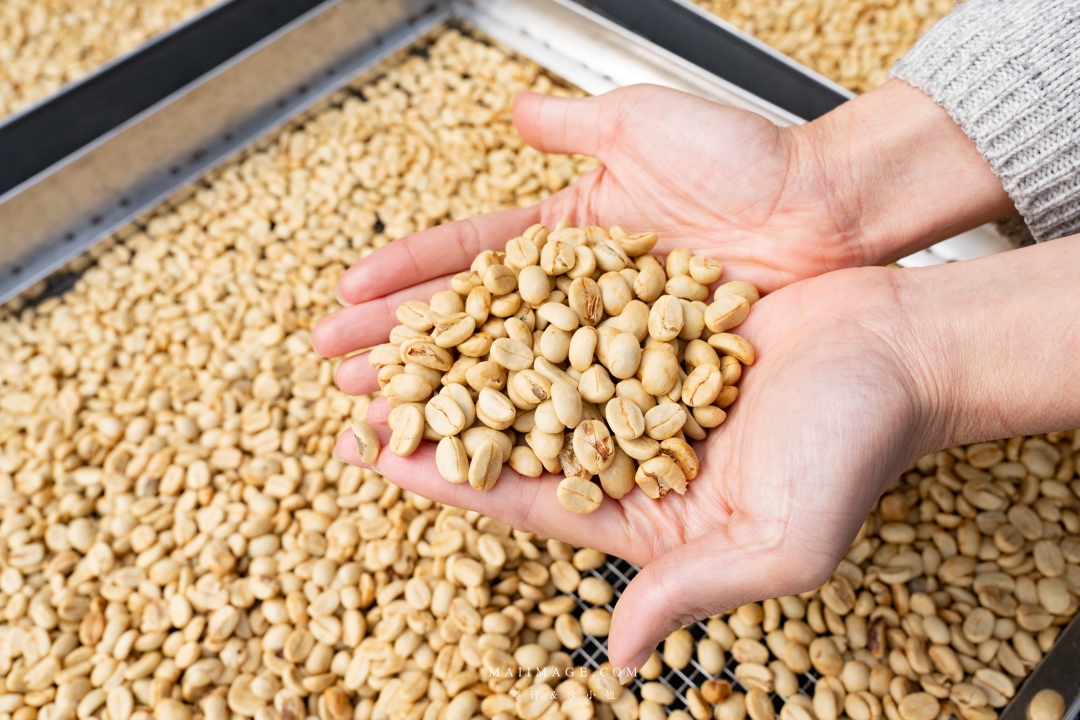 【嘉義散策】嘉義阿里山兩天一夜行程懶人包~ 台版合掌村『得恩亞納社區』、佳鶯風味餐館、井頂咖啡莊園茗茶、觀音瀑布、公興森態園區、奮起湖 【嘉義散策】嘉義阿里山兩天一夜行程懶人包~ 台版合掌村『得恩亞納社區』、佳鶯風味餐館、井頂咖啡莊園茗茶、觀音瀑布、公興森態園區、奮起湖