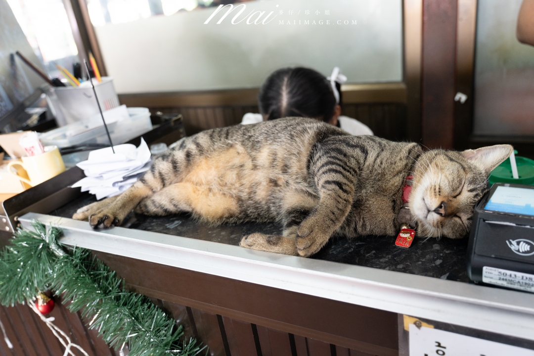 【泰國大城美食】蝦市場kung phuean praew～泰國大城區Ayutthaya必吃泰國蝦餐廳，在地人也排隊的炭烤大蝦，現點現烤大隻又划算！