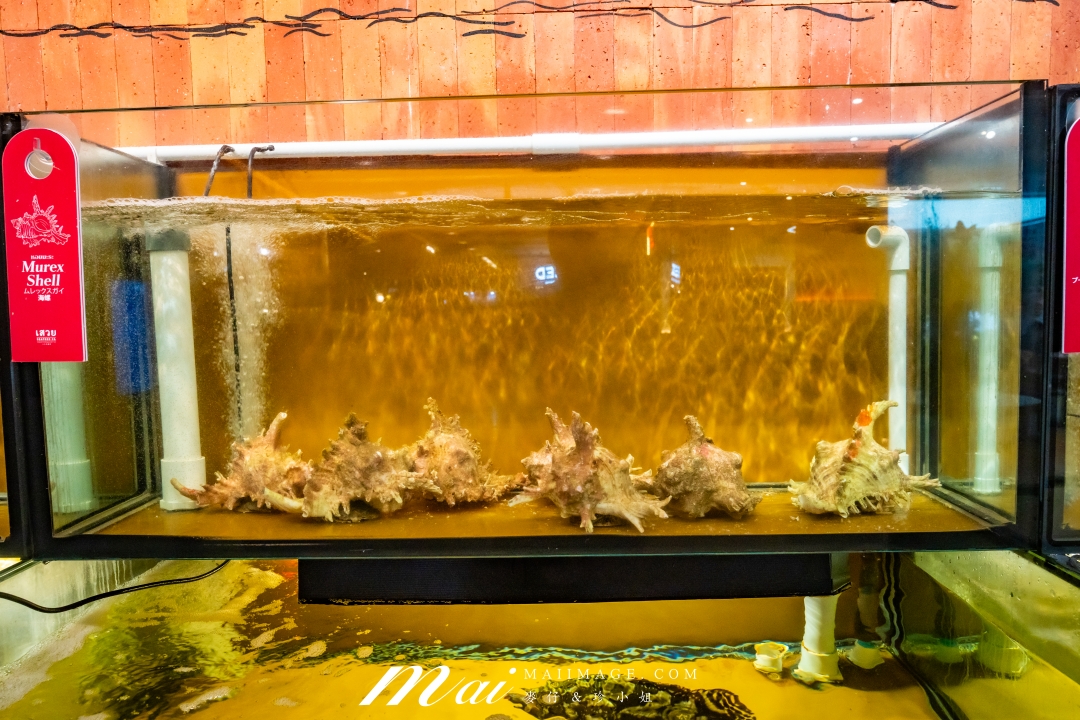 【泰國海鮮餐廳推薦】上味泰海鮮餐廳 Savoey Chit Lom|BTS Chit Lom站超過50年泰國菜老店,四面佛附近必吃咖哩蟹,二訪依舊美味 【泰國海鮮餐廳推薦】上味泰海鮮餐廳 Savoey Chit Lom|BTS Chit Lom站超過50年泰國菜老店,四面佛附近必吃咖哩蟹,二訪依舊美味